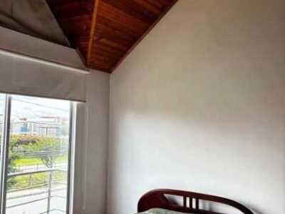 Casa Mosquera, El Trébol