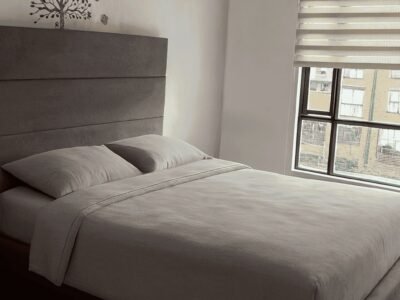 Casas de Ciudad Salitre